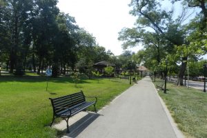 The Park of Youth, Băilești