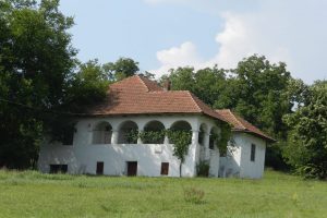 Raduțeștilor House, Butoiești