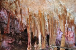 Пещера „Венеца“, Орешец